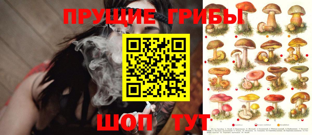 Псилоцибиновые грибы мухоморы Домодедово
